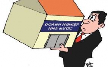 Công bố thông tin định kỳ trong doanh nghiệp nhà nước?
